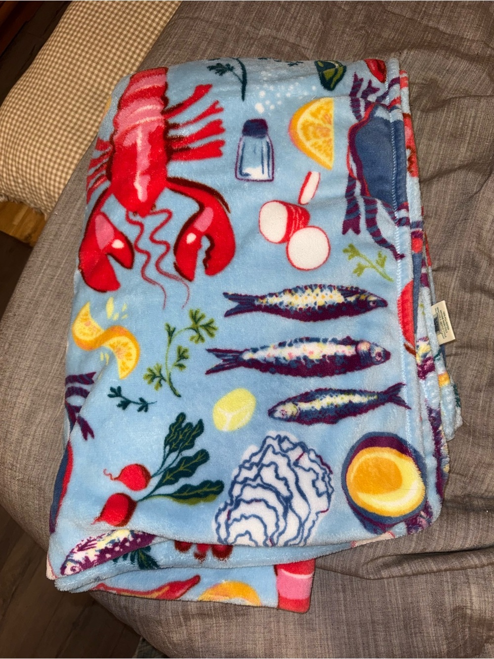Vera Bradley blanket!